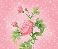 Love me without fear....