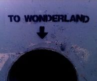 to wonderland