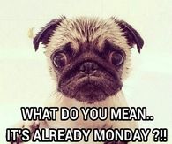 What do you mean its already monday