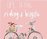Life is like a riding a bicycle