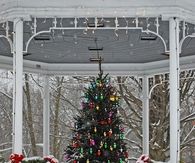 Outdoor christmas tree