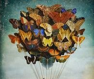 Butterfly hot air balloon