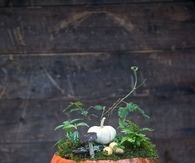 Pumpkin Planter