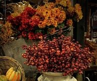 Berries, Flowers & Gordes