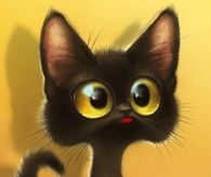 Meow!