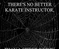 A Spider Web In Your Face