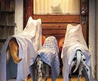 Halloween Ghost Dogs