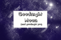 Goodnight moon and goodnight you