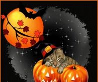 Happy Halloween