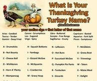 What Is Your Thanksgiving Turkey Name