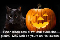 In Halloween