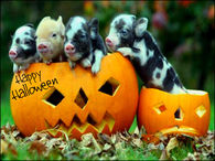 Cute happy Halloween Pigs
