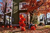 Halloween Decorations
