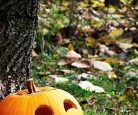 Happy Jack o lantern