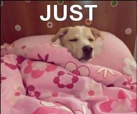Just 5 more mins please