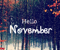 Hello November