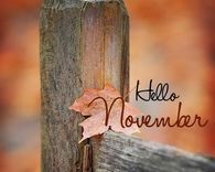 Hello November