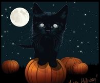 Happy Halloween