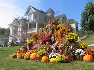 A Mountain Made from Hay Bales, Mums & Pumpkins