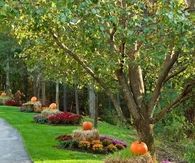 Beautiful Fall Landscaping