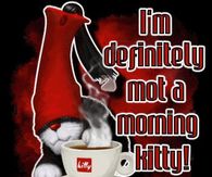 I'm Definitely Not a Morning Kitty