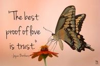 The best proof of love is trust