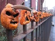 Devilish Jack O Lanterns