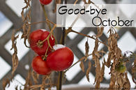 Goodbye october