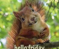 Hello Friday