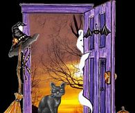 Cat at the Door