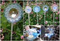 Glass Flowers