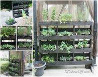 Pallet Garden for Herbs