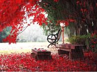 November Rain