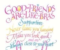Good Friends Are Like Bras....