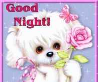 Good Night Sweet Dreams