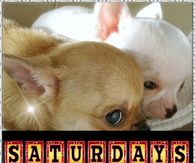 Saturday's were made for snuggling