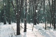 Snow fall