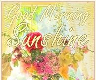 Good Morning Sunhine