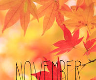 November