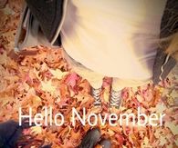 Hello November