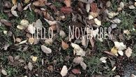 Hello November