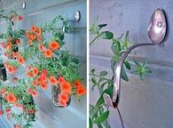 Planter hooks using spoons
