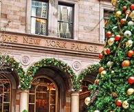 Giant christmas tree