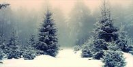 Winter snow fall