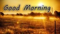 Good Morning sunrise