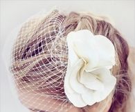 Wedding Birdcage Veil