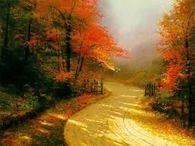 Old Country Road in the Fall