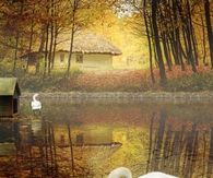 Swan Lake in Autumn