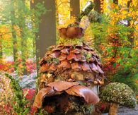 Autumn Fairy House