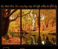 Rich Vibrant Color, Clear Sunny Days, Crisp, Cool Nights....